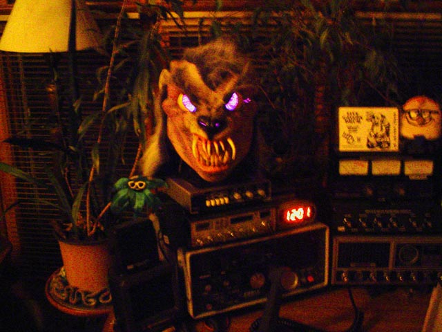 plasma-rat.jpg