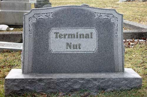 terminal-nut.jpg