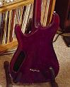 schecter-c1plus-back2